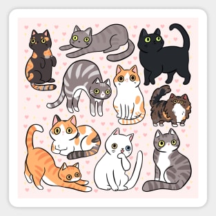 Cute street cats Magnet